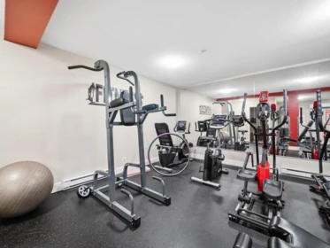 Basement Recreation Room Photo of 146 5660 201a Street, Langley, BC