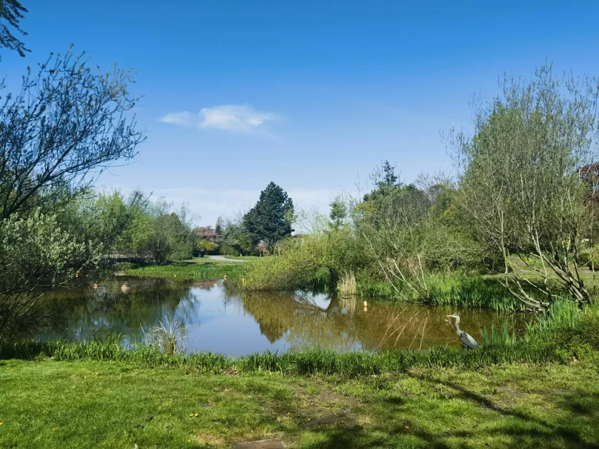 Pantry Photo of 15 10800 No. 5 Road, Richmond, BC