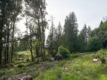 Outdoor Patio Photo of District Lot 5270, Egmont, BC