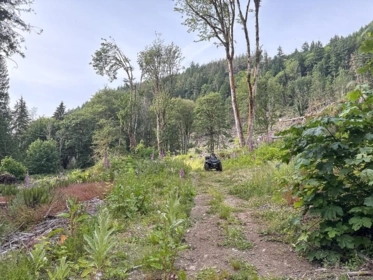 Staircase Photo of District Lot 5270, Egmont, BC
