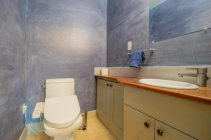 Powder Room Photo of 9975 Porlier Pass Road, Galiano Island, BC