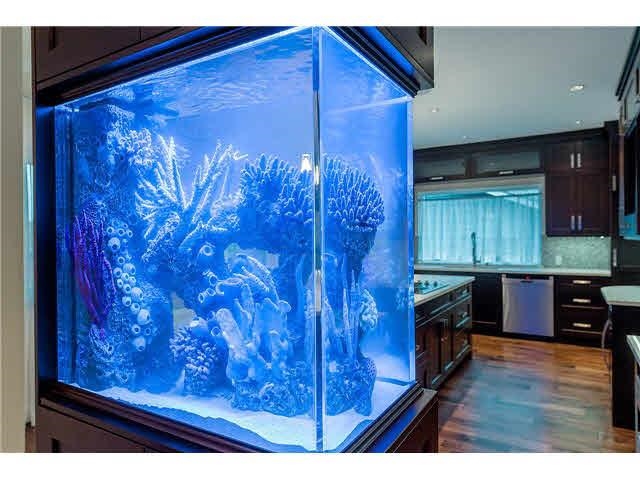 Bedroom 4 Photo of 839 W 20th Street, North Vancouver, BC