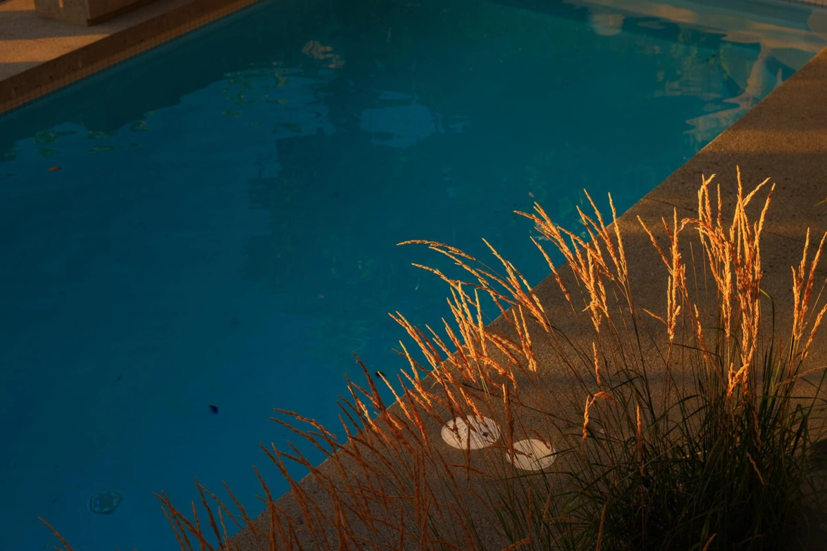 Aerial View of 2391 Wall Street, Vancouver, BC