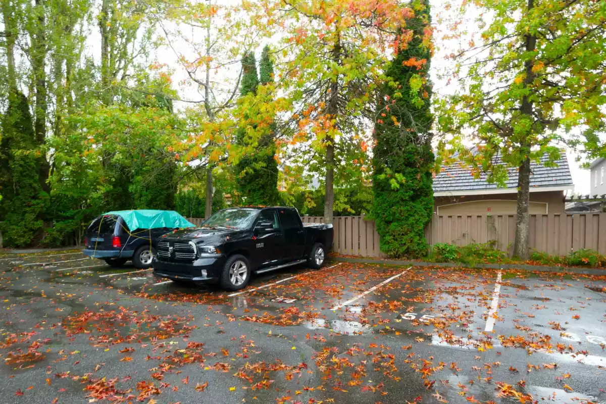 Swimming Pool Photo of 203 7600 Francis Road, Richmond, BC