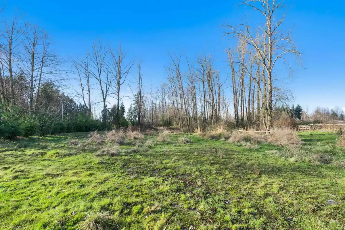 Basement Recreation Room Photo of 2271 240 Street, Langley, BC