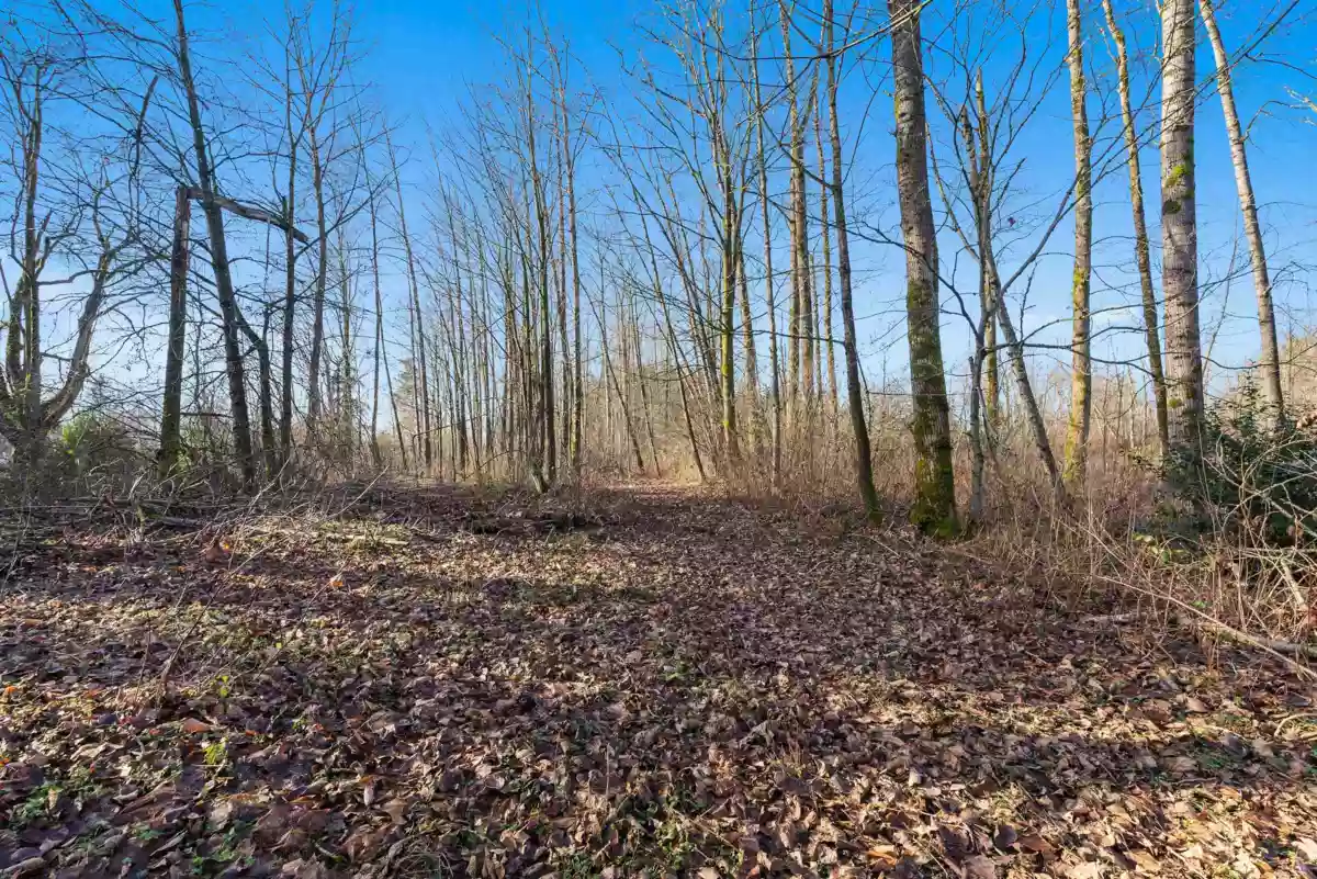 Garage Interior Photo of 2271 240 Street, Langley, BC