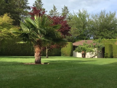 Backyard Photo of 4366 Steveston Highway, Richmond, BC