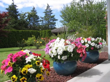 Outdoor Deck Photo of 4366 Steveston Highway, Richmond, BC