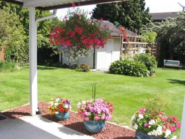 Outdoor Patio Photo of 4366 Steveston Highway, Richmond, BC