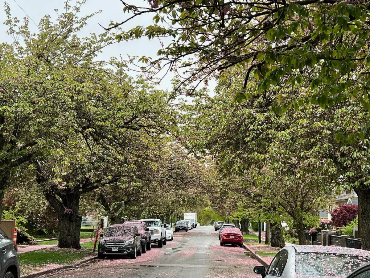 Guest Bathroom Photo of 2435 E 38th Avenue, Vancouver, BC