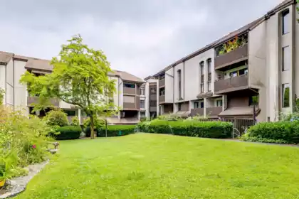 404 340 Ginger Drive, New Westminster, BC, Fraserview NW — 2 bed apartment/condo for sale