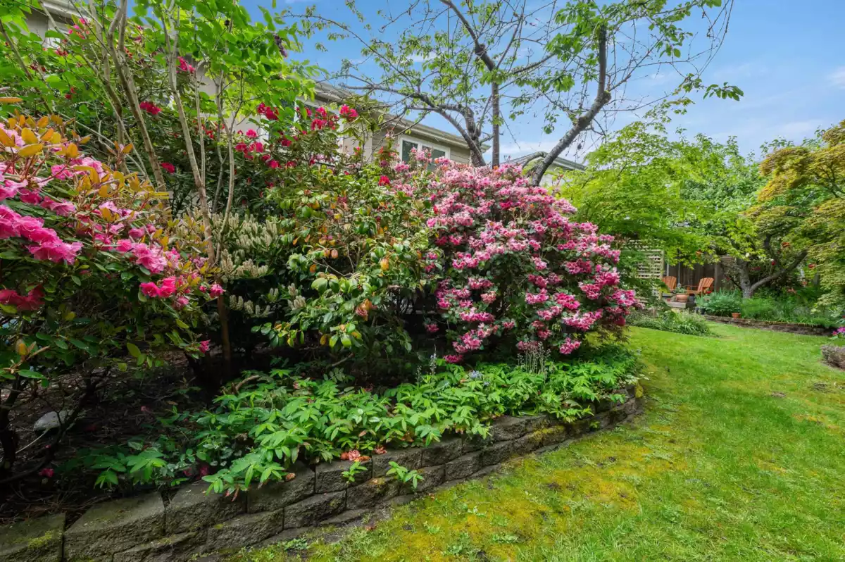 Neighborhood Park Photo Near 1452 Stevens Street, White Rock, BC