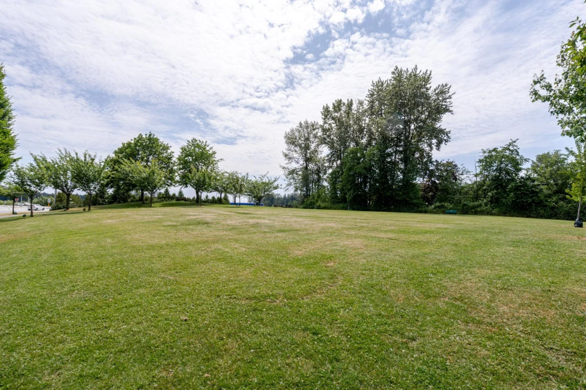 Aerial View of 103 11578 225 Street, Maple Ridge, BC