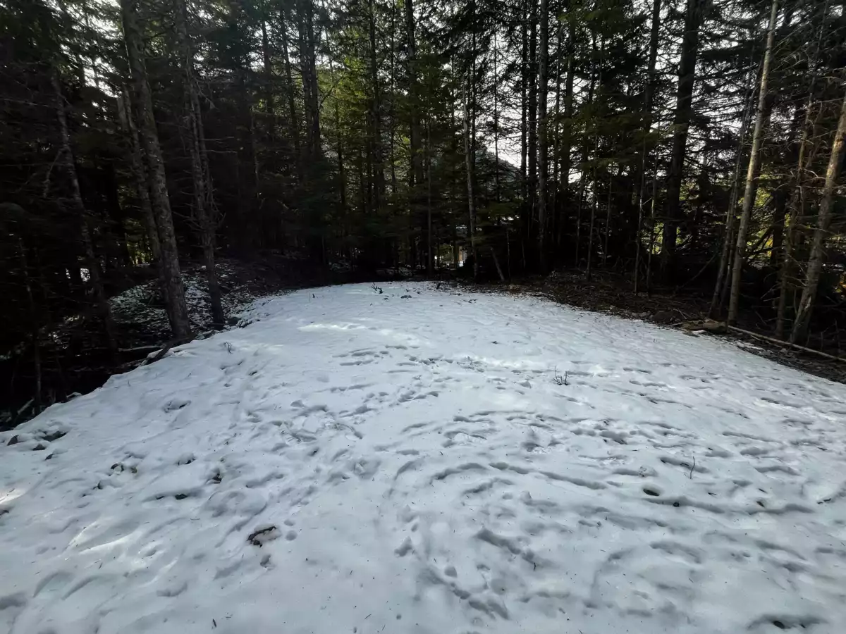 Staircase Photo of SVE97 Old Hope Princeton Highway, Sunshine Valley, BC