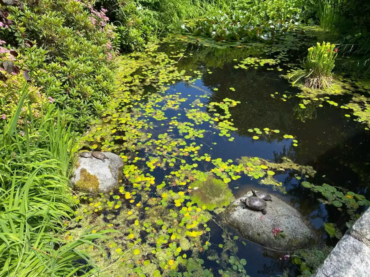 Fitness Center Photo Near 406 48 Richmond Street, New Westminster, BC