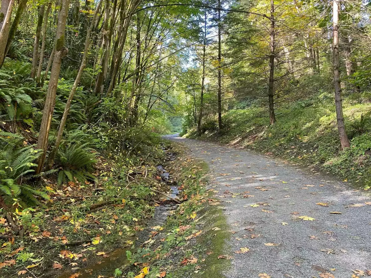 Neighborhood Park Photo Near 406 48 Richmond Street, New Westminster, BC
