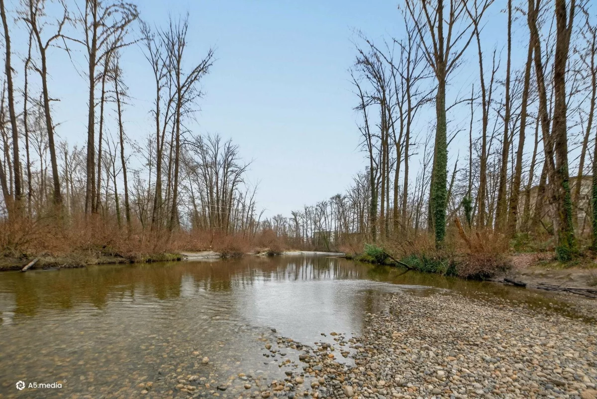 Garden / Landscaping Photo of 86 2422 Hawthorne Avenue, Port Coquitlam, BC