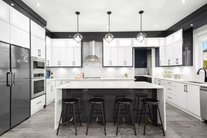 Pantry Photo of 16117 108 Avenue, Surrey, BC