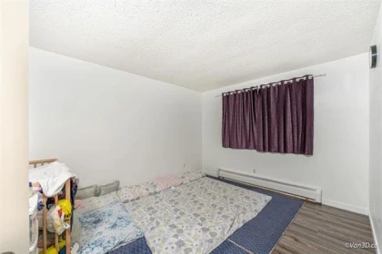 Powder Room Photo of 12753 256 Street, Maple Ridge, BC