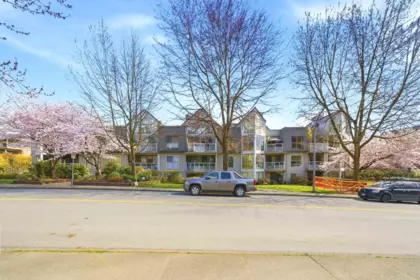 Aerial View of 206 68 Richmond Street, New Westminster, BC