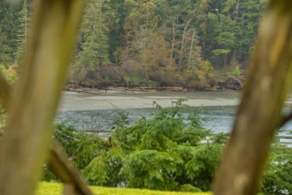 Street View Photo of 506 Arbutus Drive, Mayne Island, BC