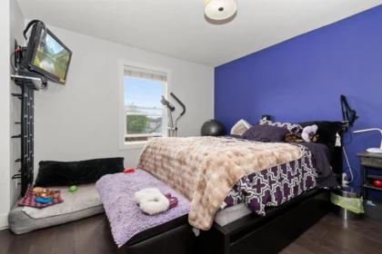 Bedroom 4 Photo of 4970 216 Street, Langley, BC