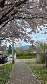 Guest Bathroom Photo of 105 6588 Elgin Avenue, Burnaby, BC