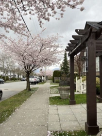 Office / Den Photo of 105 6588 Elgin Avenue, Burnaby, BC