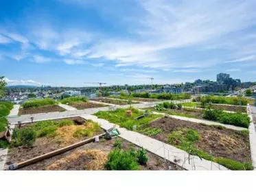 Basement Recreation Room Photo of 620 180 E 2nd Avenue, Vancouver, BC