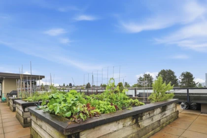 Swimming Pool Photo of 305 4570 Hastings Street, Burnaby, BC