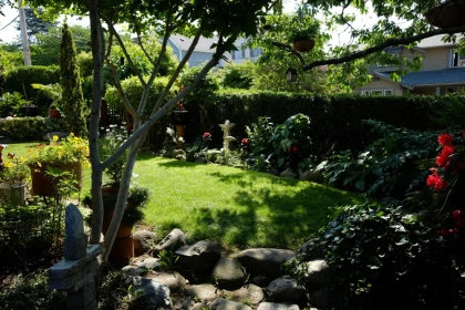 Neighborhood Park Photo Near 217 Ninth Street, New Westminster, BC