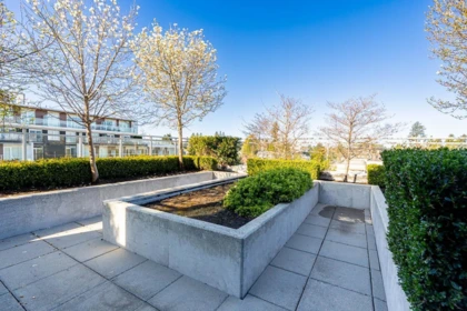 Backyard Photo of 302 523 W King Edward Avenue, Vancouver, BC