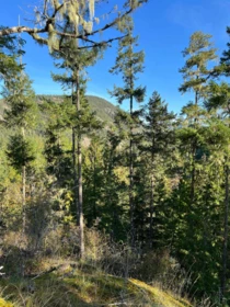 13808 Sakinaw Drive, Garden Bay, BC, Garden Bay — Land for sale