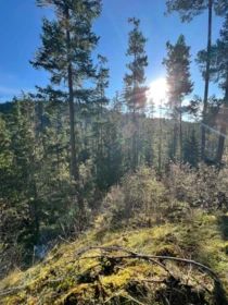 13808 Sakinaw Drive, Garden Bay, BC, Garden Bay — Land for sale
