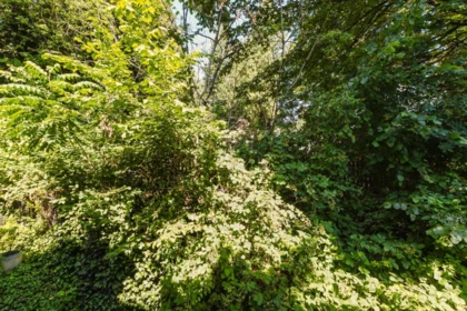 Garden / Landscaping Photo of 40 1355 Citadel Drive, Port Coquitlam, BC