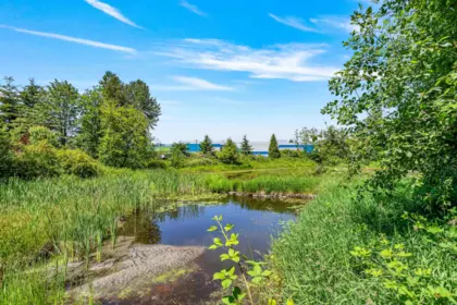 Street View Photo of 208 12565 190a Street, Pitt Meadows, BC