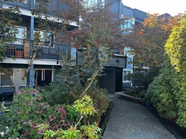 205 1122 King Albert Avenue, Coquitlam, BC, Coquitlam — Apartment/Condo for sale