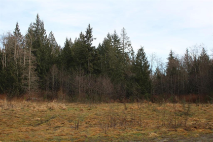 Pantry Photo of 508 Pratt Road, Gibsons, BC