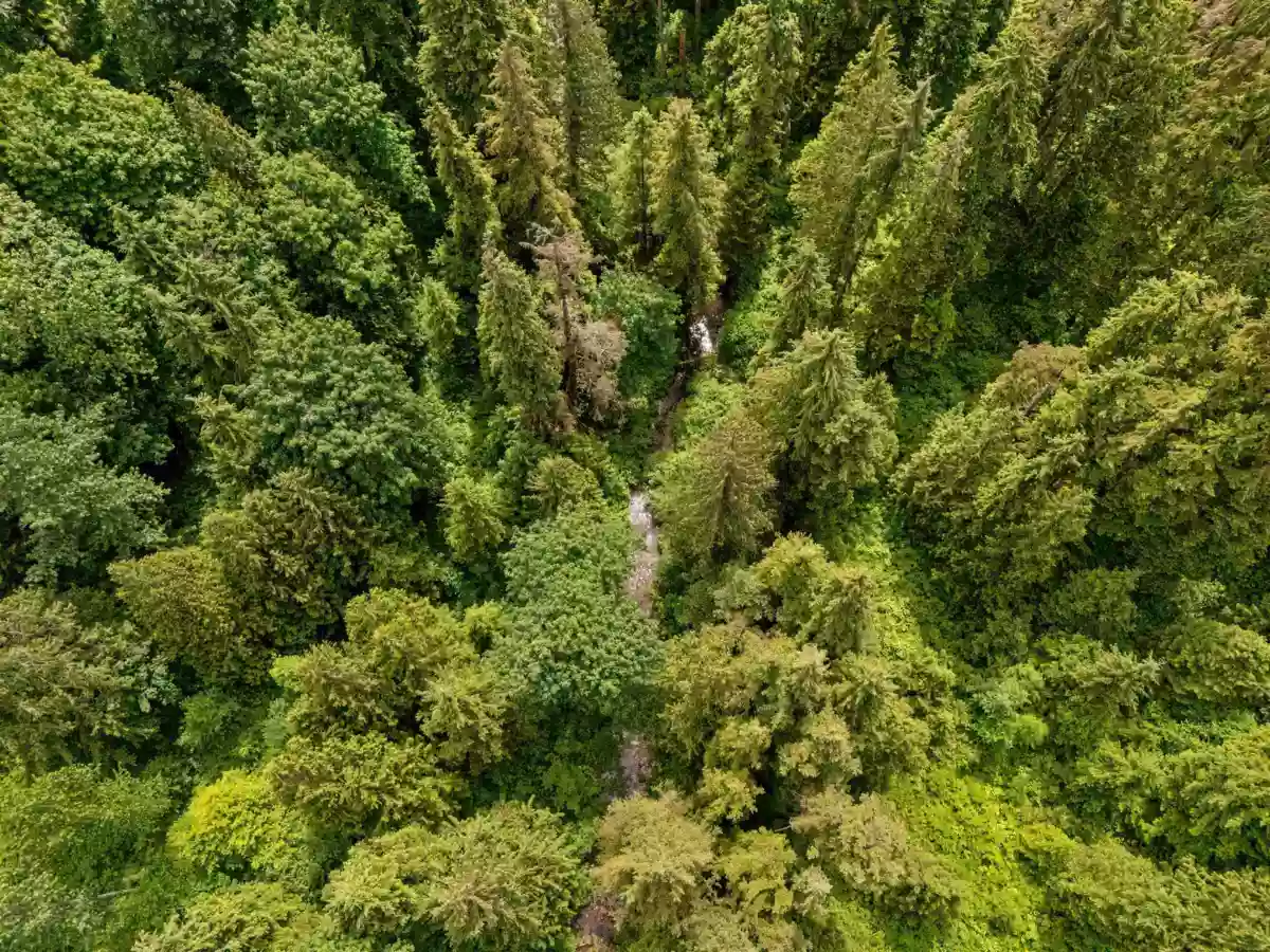 Walk-In Closet Photo of 9338 Clay Street, Mission, BC