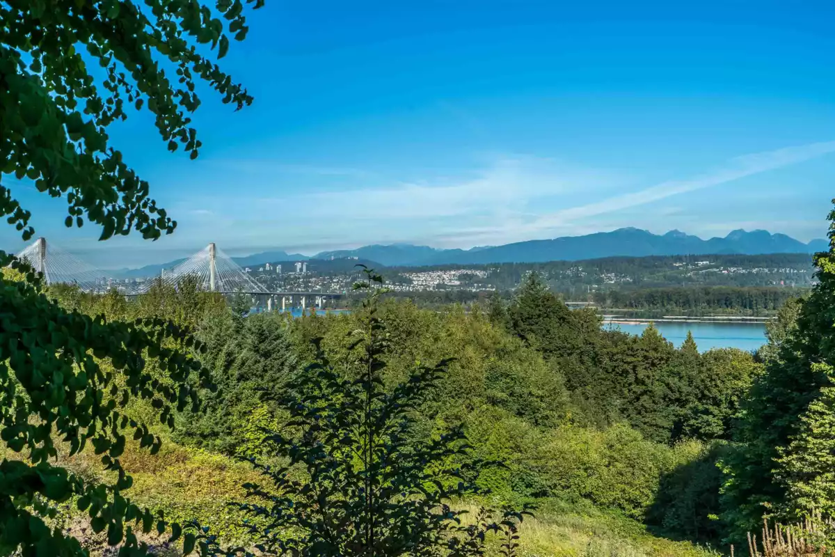 Swimming Pool Photo of 11455 154a Street, Surrey, BC