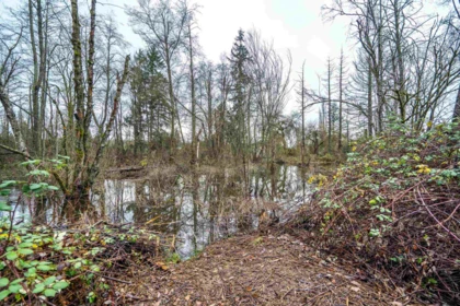 Playground / Recreational Area Near 3011 184 Street, Surrey, BC