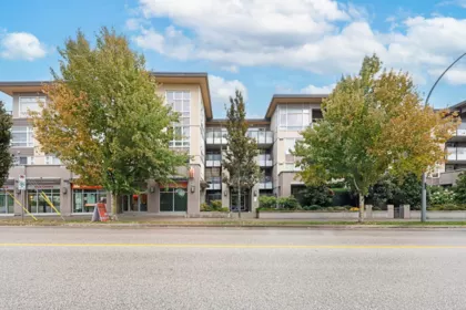 213 85 Eighth Avenue, New Westminster, BC, New Westminster — Apartment/Condo for sale