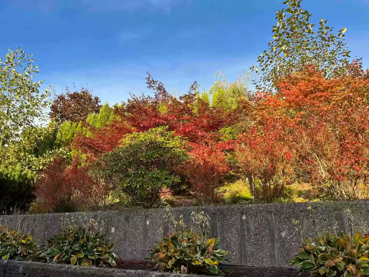 Hot Tub / Spa Photo of 7875 Peytavin Place, Mission, BC