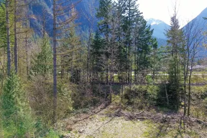 Pantry Photo of 64053 Tom Berry Road, Hope, BC
