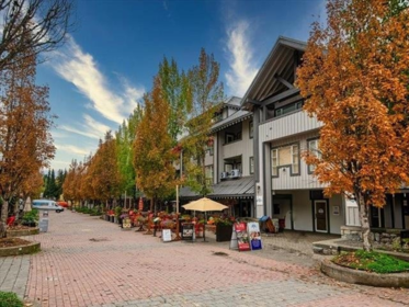 Street View Photo of 110/111 4573 Chateau Boulevard, Whistler, BC
