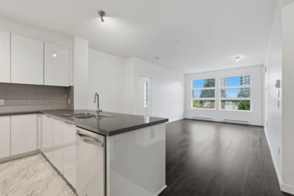 302 607 Cottonwood Avenue, Coquitlam, BC, Coquitlam — Apartment/Condo for sale
