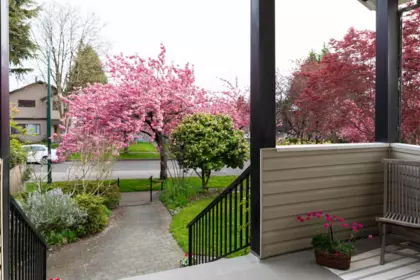 Swimming Pool Photo of 111 E 61st Avenue, Vancouver, BC