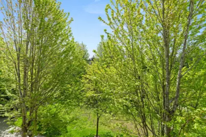 Pantry Photo of 406 15988 26 Avenue, Surrey, BC