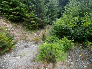 14953 Parkwood Street, Sunshine Valley, BC, Sunshine Valley — Land for sale
