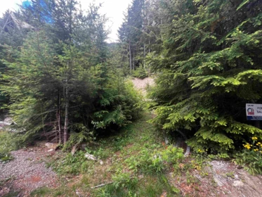 14953 Parkwood Street, Sunshine Valley, BC, Sunshine Valley — Land for sale